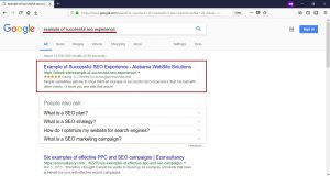 example of successful seo project